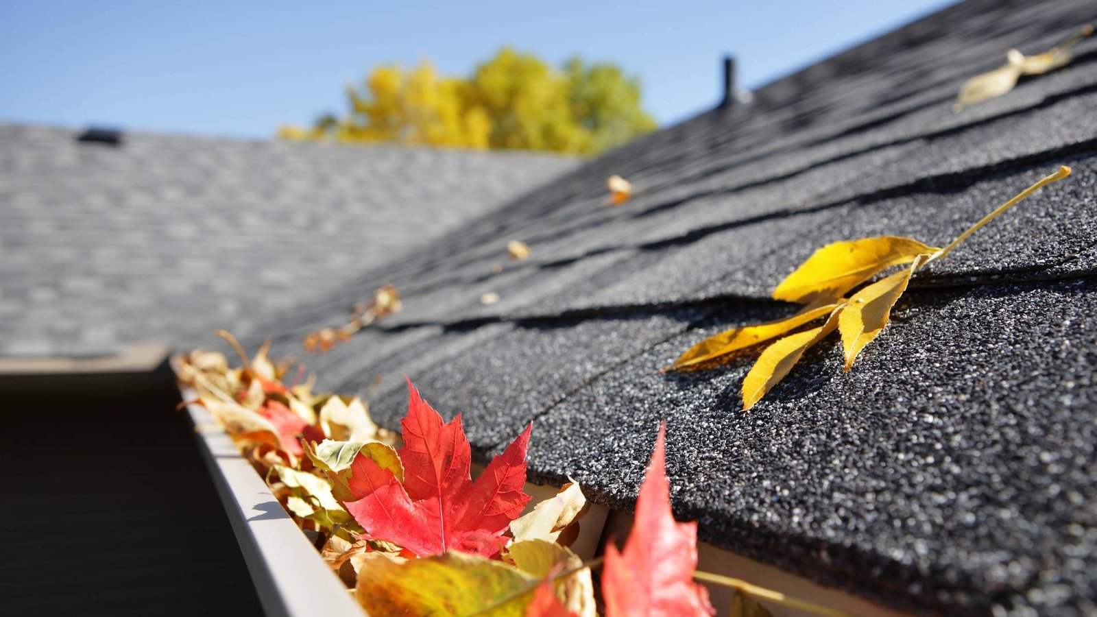 Gutter Repair Auckland - Auckland NZ