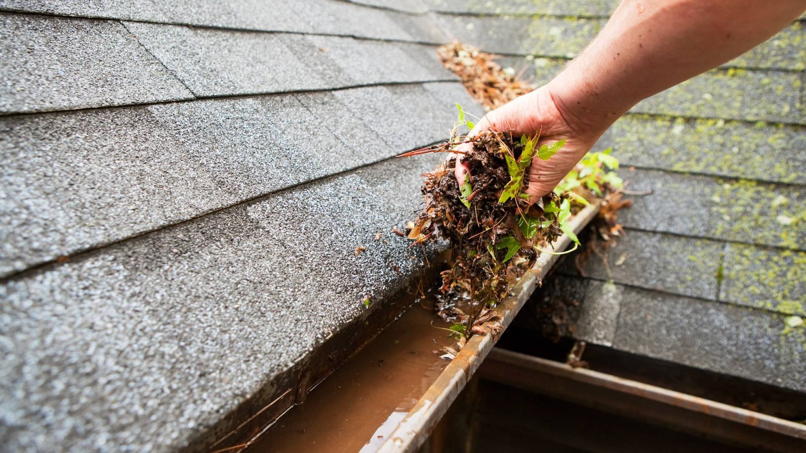 Gutter Repair Auckland - Auckland NZ