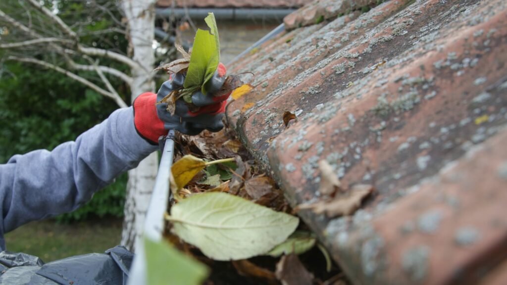 Ultimate Guide To Roof Gutter Cleaning In NZ (2025) 10 ultimate guide to roof gutter cleaning nz 10