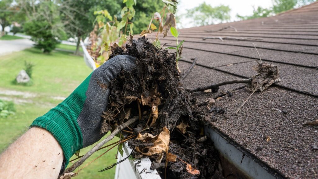 Ultimate Guide To Roof Gutter Cleaning In NZ (2025) 12 ultimate guide to roof gutter cleaning nz 3 1