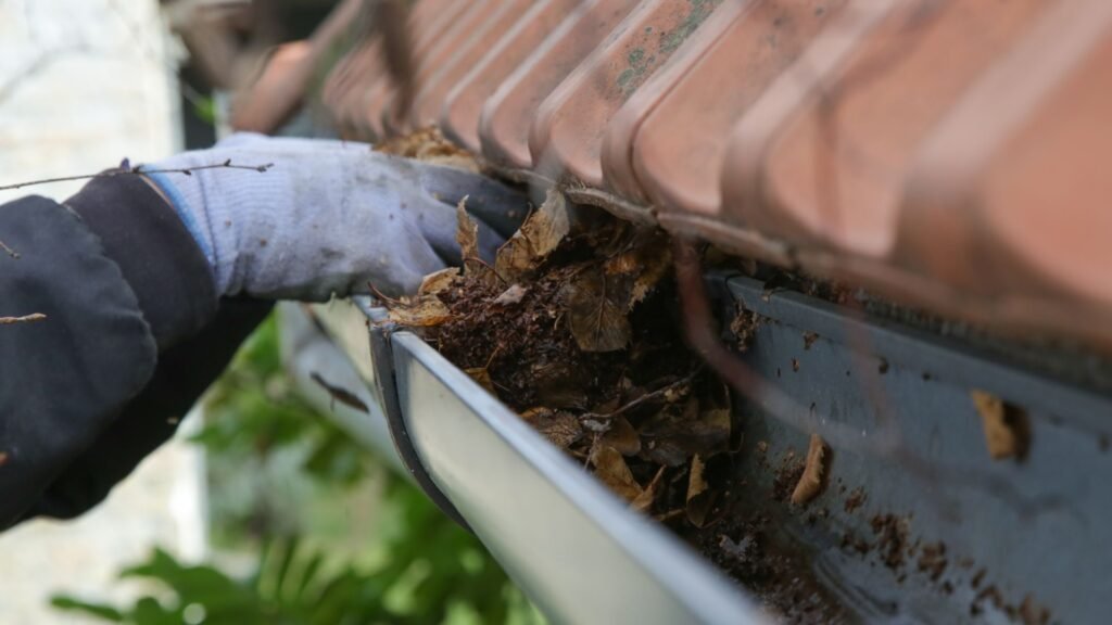 Ultimate Guide To Roof Gutter Cleaning In NZ (2025) 7 ultimate guide to roof gutter cleaning nz 6