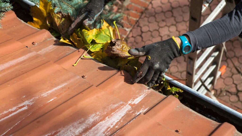 Ultimate Guide To Roof Gutter Cleaning In NZ (2025) 9 ultimate guide to roof gutter cleaning nz 9